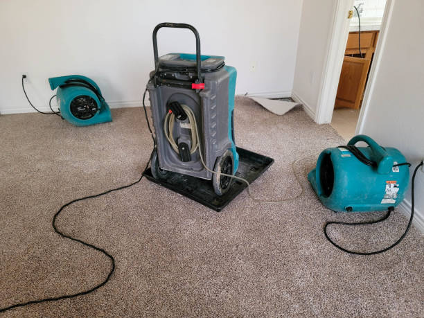 Best Mold removal after water damage  in Colfax, LA