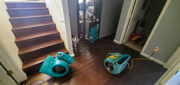 Water damage restoration process in Colfax, LA
