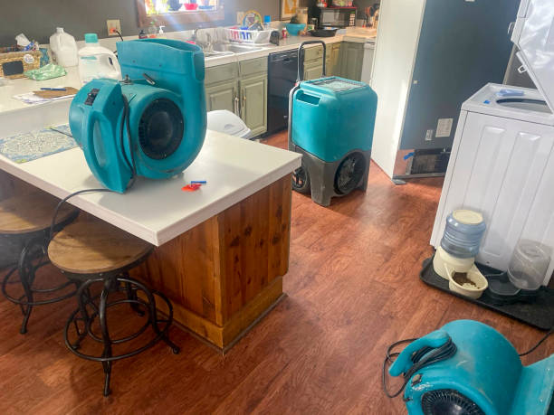 Best Residential water damage restoration  in Colfax, LA