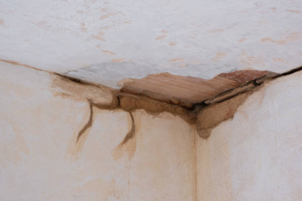 Best Sewage cleanup and water damage restoration  in Colfax, LA