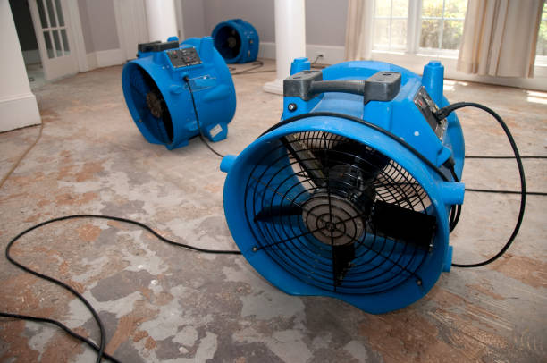 Best Water damage cleanup near me  in Colfax, LA