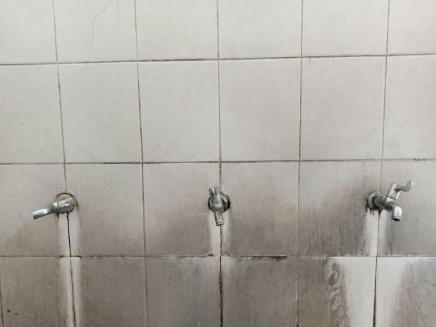 Best Water damage restoration services  in Colfax, LA