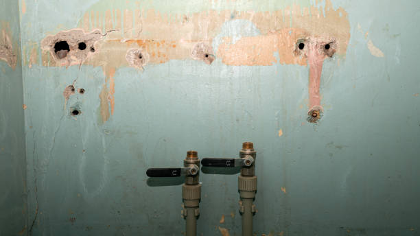 Sewage cleanup and water damage restoration in Colfax, LA