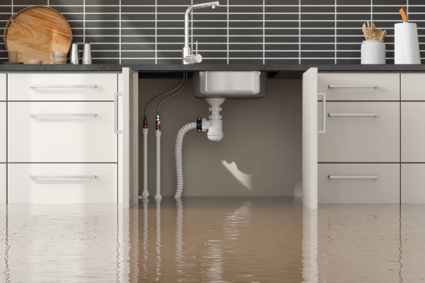 Best Ceiling water damage repair  in Colfax, LA