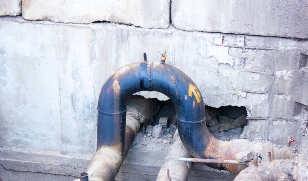 Best Water damage contractors near me  in Colfax, LA