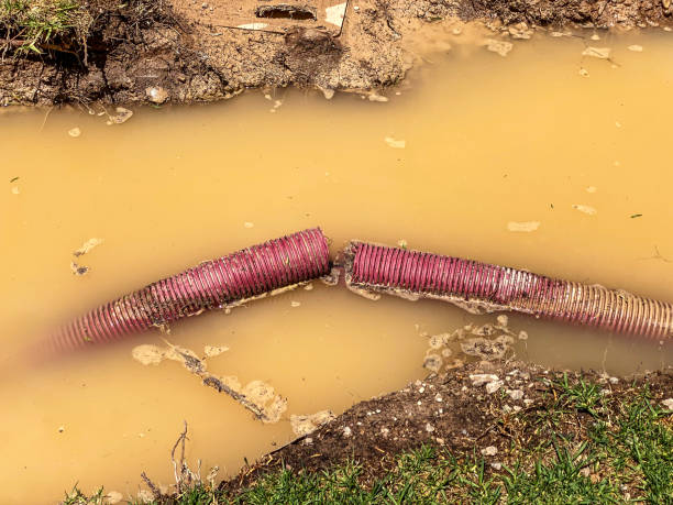 Best Local water damage restoration  in Colfax, LA