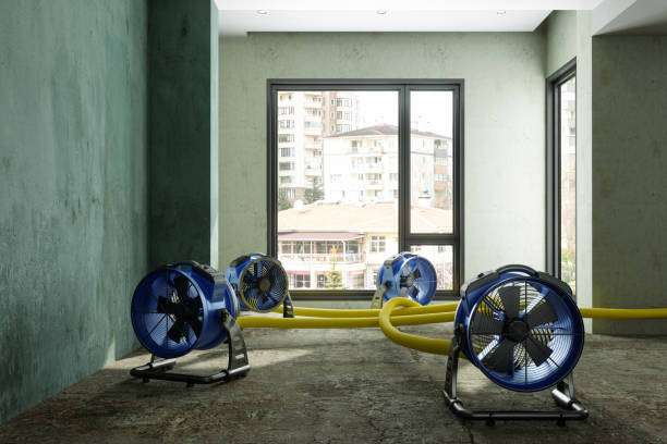 Best Emergency water damage restoration  in Colfax, LA