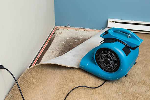 Best Commercial water damage restoration  in Colfax, LA